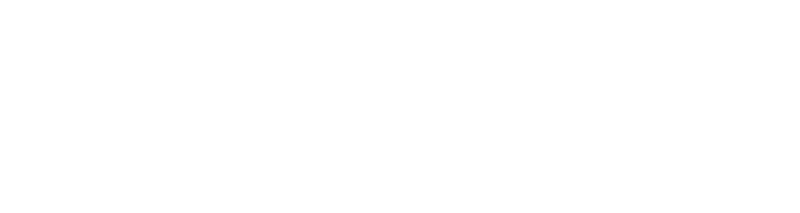 Aleph Alpha Logo