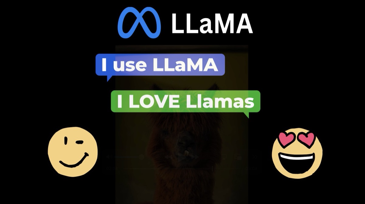 Good date: talking about cute llamas